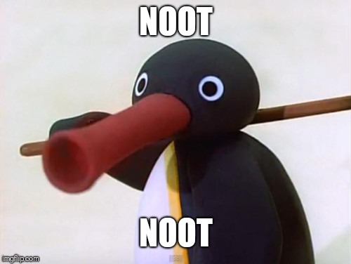 Noot Noot | NOOT NOOT | image tagged in noot noot | made w/ Imgflip meme maker