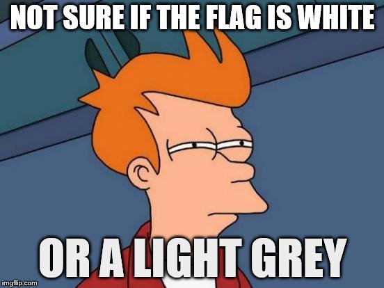 It looks like they want to surrender but.... | NOT SURE IF THE FLAG IS WHITE; OR A LIGHT GREY | image tagged in memes,futurama fry | made w/ Imgflip meme maker