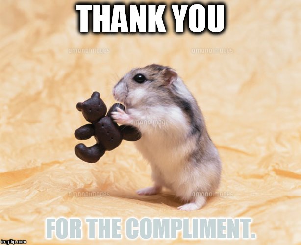 THANK YOU FOR THE COMPLIMENT. | made w/ Imgflip meme maker