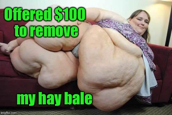 fat girl | Offered $100 to remove my hay bale | image tagged in fat girl | made w/ Imgflip meme maker