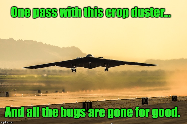 B-2 Stealth Bomber | One pass with this crop duster... And all the bugs are gone for good. | image tagged in memes,crop duster,japanese bettles,air force,b2 bomber | made w/ Imgflip meme maker
