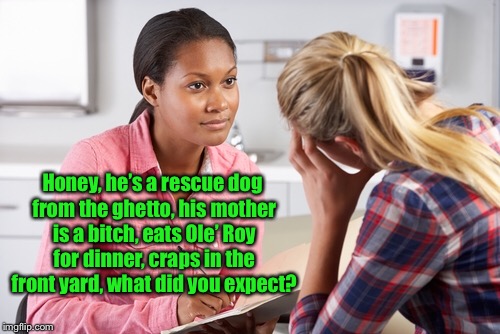 Honey, he’s a rescue dog from the ghetto, his mother is a b**ch, eats Ole’ Roy for dinner, craps in the front yard, what did you expect? | made w/ Imgflip meme maker