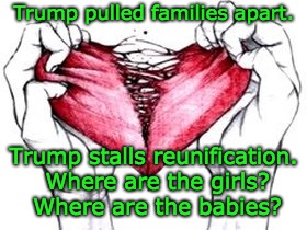 Trump pulled families apart - Trump stalls reunification - Where are the girls? Where are the babies? |  Trump pulled families apart. Trump stalls reunification. Where are the girls? Where are the babies? | image tagged in broken hearted,trump,racist,malignant narcissist,cruel,trump unfit unqualified dangerous | made w/ Imgflip meme maker