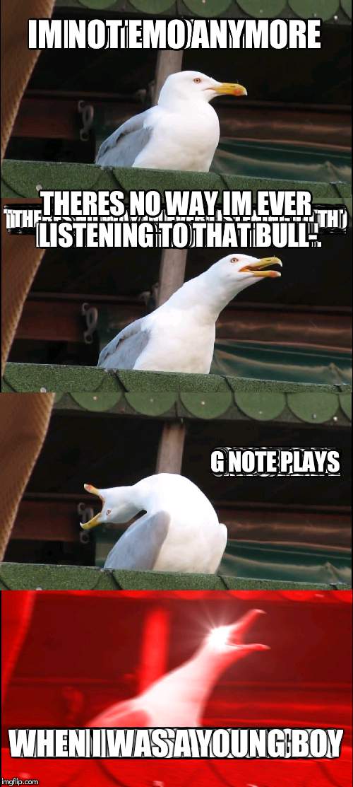 Inhaling Seagull | IM NOT EMO ANYMORE; THERES NO WAY IM EVER LISTENING TO THAT BULL-; G NOTE PLAYS; WHEN I WAS A YOUNG BOY | image tagged in memes,inhaling seagull | made w/ Imgflip meme maker