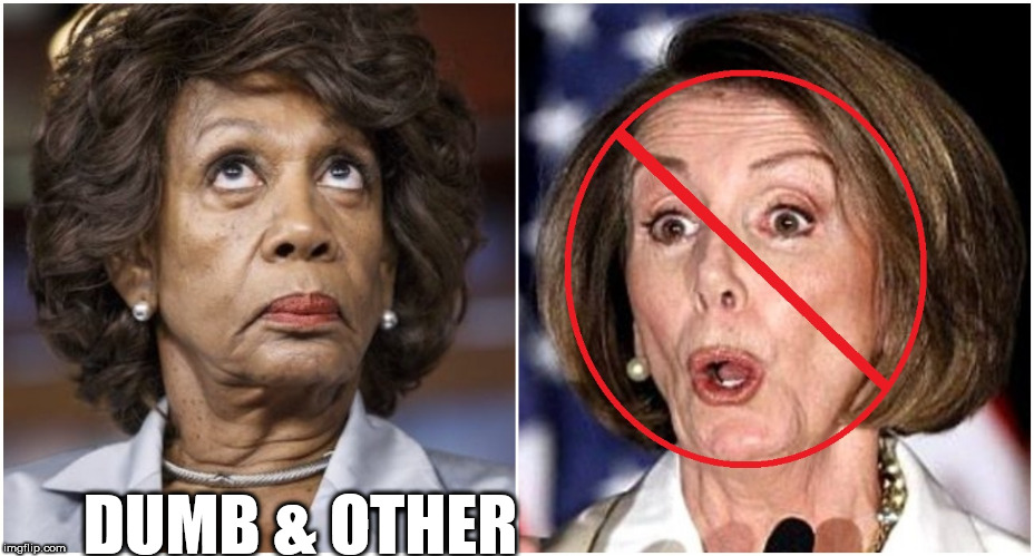 DUH & MORE DUH!!!!!!!!!!!! | DUMB & OTHER | image tagged in dumbass maxine waters,good old nancy pelosi,special kind of stupid,book of idiots | made w/ Imgflip meme maker