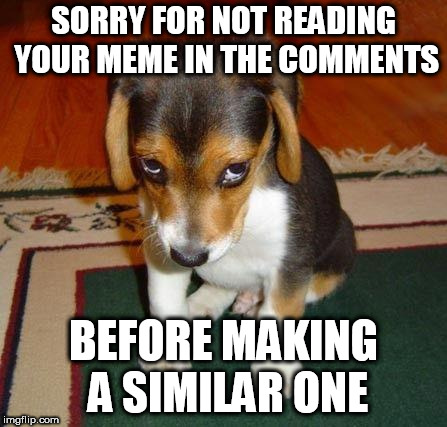 sorry | SORRY FOR NOT READING YOUR MEME IN THE COMMENTS; BEFORE MAKING A SIMILAR ONE | image tagged in sorry | made w/ Imgflip meme maker