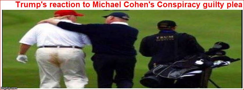 image tagged in trump cohen guilty plea | made w/ Imgflip meme maker