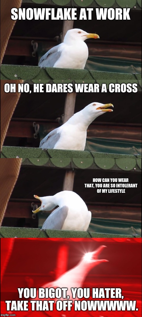 Inhaling Seagull Meme | SNOWFLAKE AT WORK; OH NO, HE DARES WEAR A CROSS; HOW CAN YOU WEAR THAT, YOU ARE SO INTOLERANT OF MY LIFESTYLE; YOU BIGOT, YOU HATER, TAKE THAT OFF NOWWWWW. | image tagged in memes,inhaling seagull | made w/ Imgflip meme maker