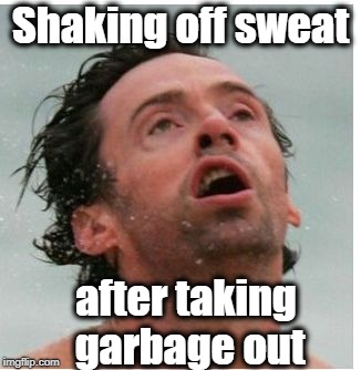 Yes,  it's that hot out! | Shaking off sweat; after taking garbage out | image tagged in sweltering heat,sweat pouring down | made w/ Imgflip meme maker