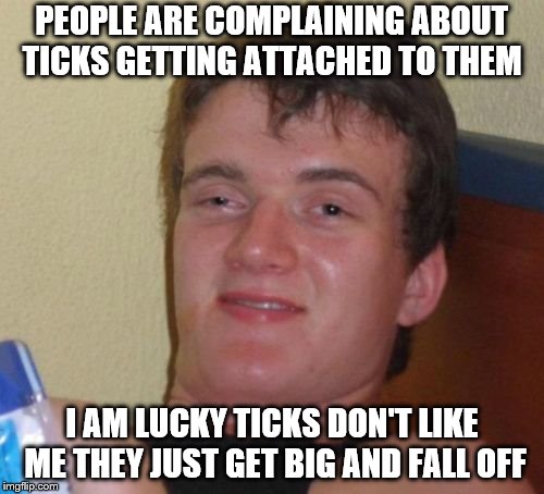 10 Guy Meme | PEOPLE ARE COMPLAINING ABOUT TICKS GETTING ATTACHED TO THEM; I AM LUCKY TICKS DON'T LIKE ME THEY JUST GET BIG AND FALL OFF | image tagged in memes,10 guy,ticks | made w/ Imgflip meme maker