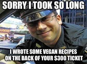 SORRY I TOOK SO LONG I WROTE SOME VEGAN RECIPES ON THE BACK OF YOUR $300 TICKET | made w/ Imgflip meme maker