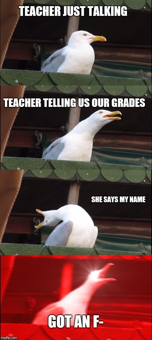 Inhaling Seagull Meme | TEACHER JUST TALKING; TEACHER TELLING US OUR GRADES; SHE SAYS MY NAME; GOT AN F- | image tagged in memes,inhaling seagull | made w/ Imgflip meme maker