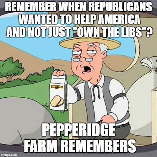 I really don't honestly... | REMEMBER WHEN REPUBLICANS WANTED TO HELP AMERICA AND NOT JUST "OWN THE LIBS"? PEPPERIDGE FARM REMEMBERS | image tagged in memes,pepperidge farm remembers,political,political meme,republicans | made w/ Imgflip meme maker