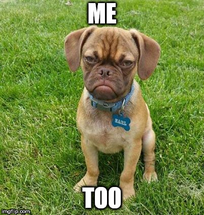 Grumpy Dog | ME TOO | image tagged in grumpy dog | made w/ Imgflip meme maker