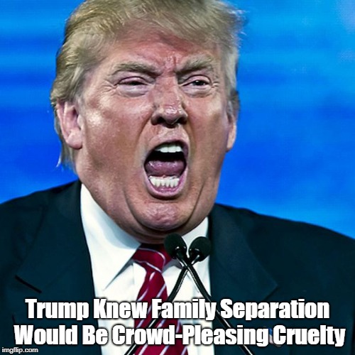 Trump Knew Family Separation Would Be Crowd-Pleasing Cruelty | Trump Knew Family Separation Would Be Crowd-Pleasing Cruelty | image tagged in cruel trump,deplorable donald,despicable donald,devious donald,detestable donald,dishonorable donald | made w/ Imgflip meme maker