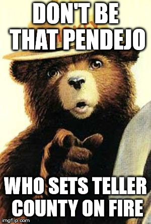smokey the bear | DON'T BE THAT PENDEJO; WHO SETS TELLER COUNTY ON FIRE | image tagged in smokey the bear | made w/ Imgflip meme maker