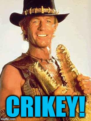 Crocodile Dundee | CRIKEY! | image tagged in crocodile dundee | made w/ Imgflip meme maker