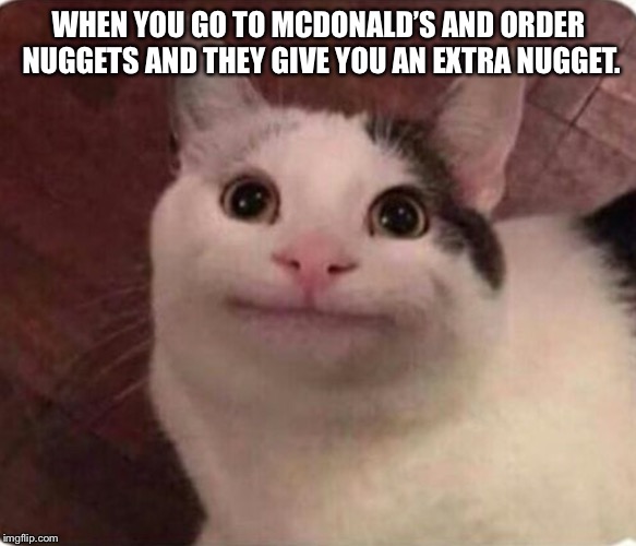 Food | WHEN YOU GO TO MCDONALD’S AND ORDER NUGGETS AND THEY GIVE YOU AN EXTRA NUGGET. | image tagged in mcdonalds | made w/ Imgflip meme maker