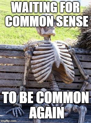 ppl be st00pid | WAITING FOR COMMON SENSE; TO BE COMMON AGAIN | image tagged in memes,waiting skeleton | made w/ Imgflip meme maker