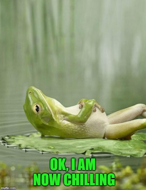 ChillinFrog | OK, I AM NOW CHILLING | image tagged in chillinfrog | made w/ Imgflip meme maker