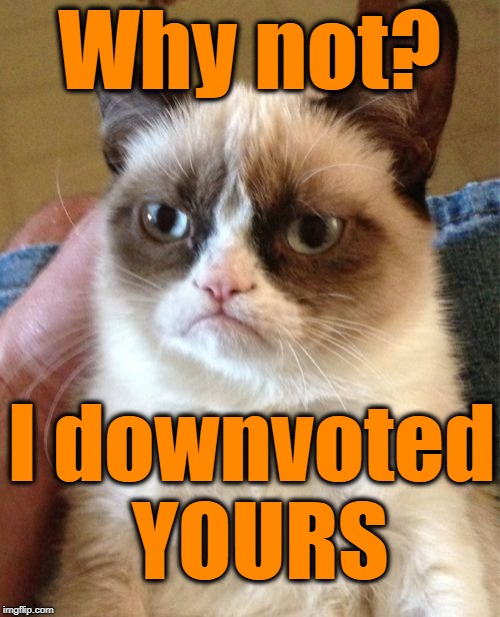 Grumpy Cat Meme | Why not? I downvoted YOURS | image tagged in memes,grumpy cat | made w/ Imgflip meme maker