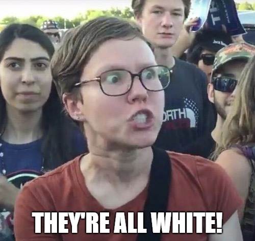 Triggered feminist | THEY'RE ALL WHITE! | image tagged in triggered feminist | made w/ Imgflip meme maker