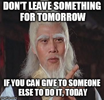 Wise Kung Fu Master | DON'T LEAVE SOMETHING FOR TOMORROW IF YOU CAN GIVE TO SOMEONE ELSE TO DO IT, TODAY | image tagged in wise kung fu master | made w/ Imgflip meme maker