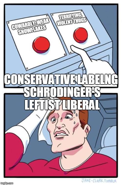 Two Buttons | TERRIFYING, VIOLENT THUGS; COWARDLY, WEAK SNOWFLAKES; CONSERVATIVE LABELNG SCHRODINGER'S LEFTIST LIBERAL | image tagged in memes,two buttons | made w/ Imgflip meme maker