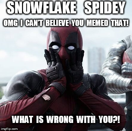 Snowflake Spidey | SNOWFLAKE   SPIDEY; OMG  I  CAN'T  BELIEVE  YOU  MEMED  THAT! WHAT  IS  WRONG  WITH  YOU?! | image tagged in memes,deadpool surprised,spidey,spiderman | made w/ Imgflip meme maker