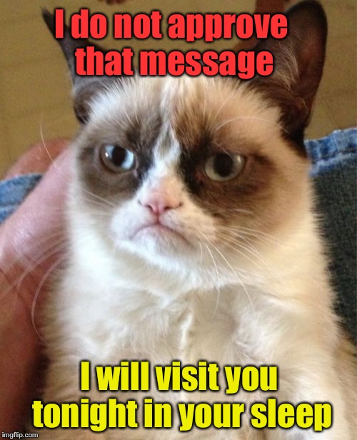 Grumpy Cat Meme | I will visit you tonight in your sleep I do not approve that message | image tagged in memes,grumpy cat | made w/ Imgflip meme maker