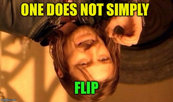 One Does Not Simply Meme | ONE DOES NOT SIMPLY FLIP | image tagged in memes,one does not simply | made w/ Imgflip meme maker