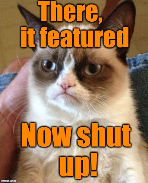 Grumpy Cat Meme | There,  it featured Now shut up! | image tagged in memes,grumpy cat | made w/ Imgflip meme maker