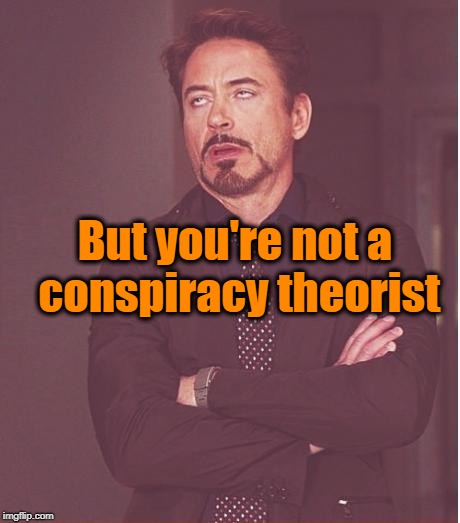 Face You Make Robert Downey Jr Meme | But you're not a conspiracy theorist | image tagged in memes,face you make robert downey jr | made w/ Imgflip meme maker