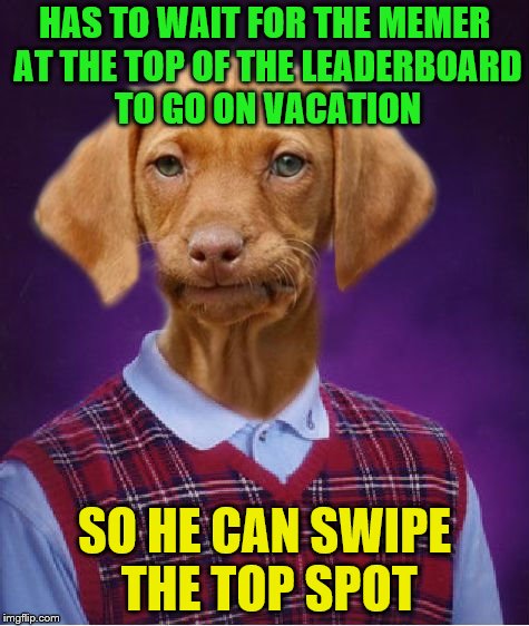 This is all in fun.  Congrats!  Now we just need DashHopes in the #2 spot for things to be normal :-) (A Raydog request) | HAS TO WAIT FOR THE MEMER AT THE TOP OF THE LEADERBOARD TO GO ON VACATION; SO HE CAN SWIPE THE TOP SPOT | image tagged in bad luck raydog,memes,raydog,leaderboard,giveuahint | made w/ Imgflip meme maker