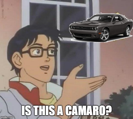 When Someone sees a random Muscle Car | IS THIS A CAMARO? | image tagged in is this a pigeon,muscle car,camaro | made w/ Imgflip meme maker