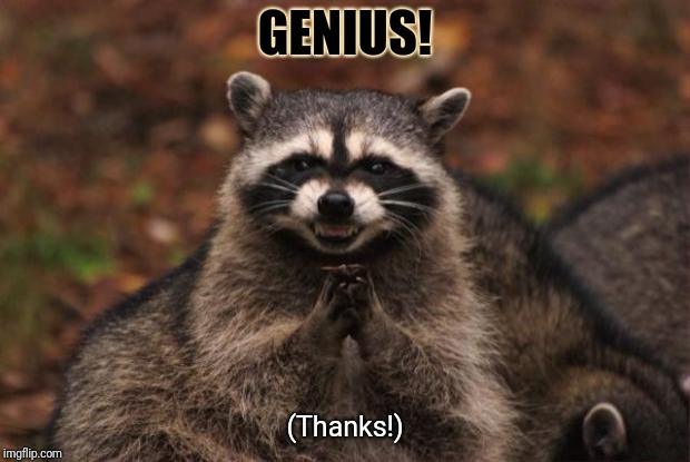 evil genius racoon | GENIUS! (Thanks!) | image tagged in evil genius racoon | made w/ Imgflip meme maker