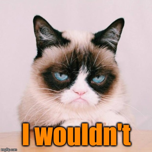 grumpy cat again | I wouldn't | image tagged in grumpy cat again | made w/ Imgflip meme maker