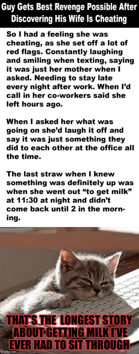 I feel bad for the guy and the cat! | THAT’S THE 
LONGEST STORY ABOUT GETTING MILK I’VE EVER HAD TO SIT THROUGH | image tagged in memes,masqurade_,meme,cheating,tired cat,cats | made w/ Imgflip meme maker