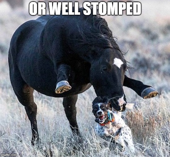 OR WELL STOMPED | made w/ Imgflip meme maker
