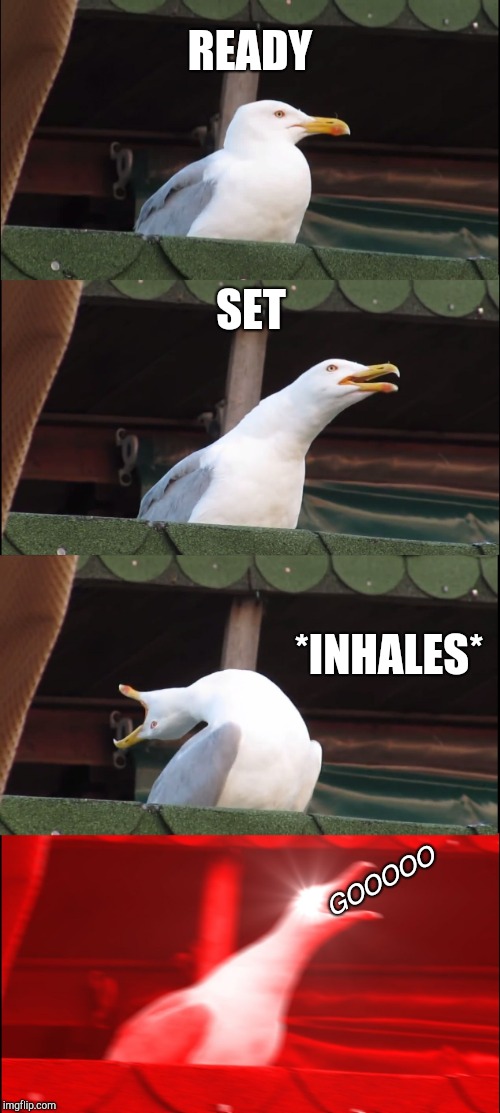Inhaling Seagull Meme | READY; SET; *INHALES*; GOOOOO | image tagged in memes,inhaling seagull | made w/ Imgflip meme maker