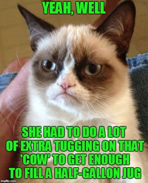 Grumpy Cat Meme | YEAH, WELL SHE HAD TO DO A LOT OF EXTRA TUGGING ON THAT 'COW' TO GET ENOUGH TO FILL A HALF-GALLON JUG | image tagged in memes,grumpy cat | made w/ Imgflip meme maker