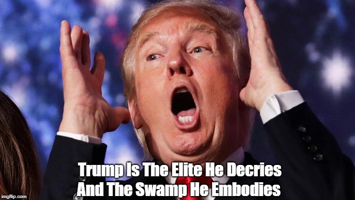 Trump Is The Elite He Decries And The Swamp He Embodies | made w/ Imgflip meme maker