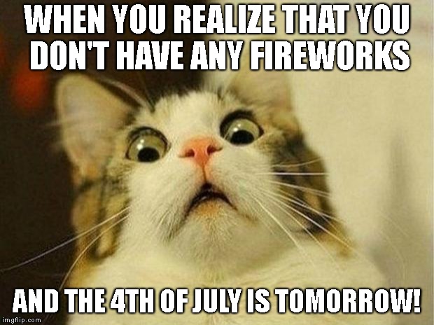 Scared Cat Meme | WHEN YOU REALIZE THAT YOU DON'T HAVE ANY FIREWORKS; AND THE 4TH OF JULY IS TOMORROW! | image tagged in memes,scared cat | made w/ Imgflip meme maker
