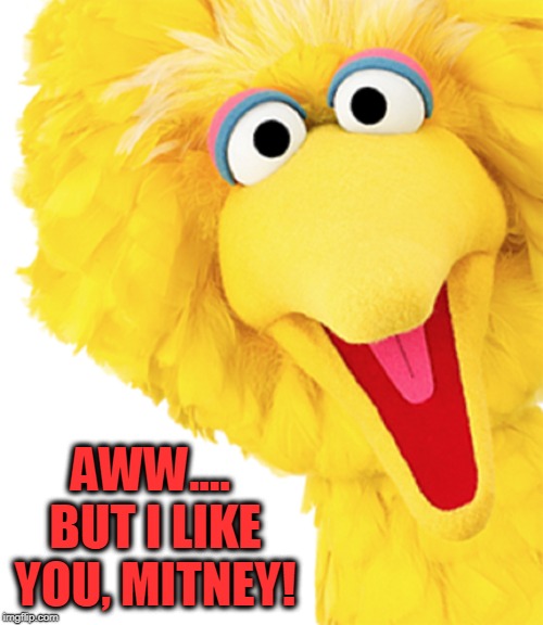 "How'd those last 2 elections go?" Asks Big Bird getting last laugh | AWW.... BUT I LIKE YOU, MITNEY! | image tagged in vince vance,seasame street,big bird,mitt romney,the last laugh | made w/ Imgflip meme maker