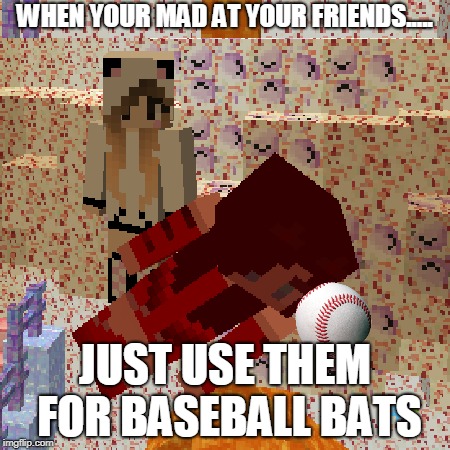 Baseball Bat | WHEN YOUR MAD AT YOUR FRIENDS..... JUST USE THEM FOR BASEBALL BATS | image tagged in craftlords,minecraft,firepaw909 | made w/ Imgflip meme maker