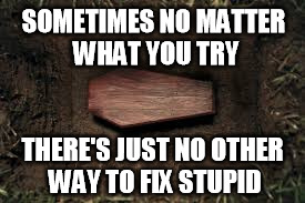SOMETIMES NO MATTER WHAT YOU TRY; THERE'S JUST NO OTHER WAY TO FIX STUPID | image tagged in stupid | made w/ Imgflip meme maker