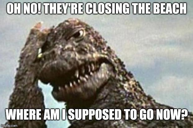 Godzilla | OH NO! THEY'RE CLOSING THE BEACH WHERE AM I SUPPOSED TO GO NOW? | image tagged in godzilla | made w/ Imgflip meme maker