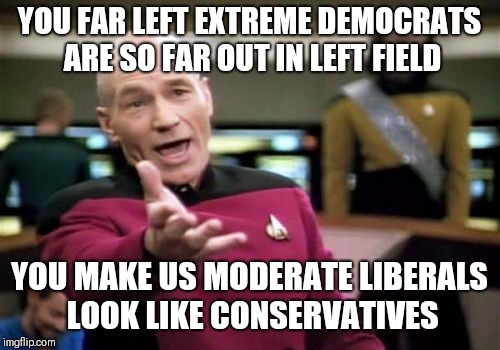 Picard Wtf Meme | YOU FAR LEFT EXTREME DEMOCRATS ARE SO FAR OUT IN LEFT FIELD; YOU MAKE US MODERATE LIBERALS LOOK LIKE CONSERVATIVES | image tagged in memes,picard wtf | made w/ Imgflip meme maker