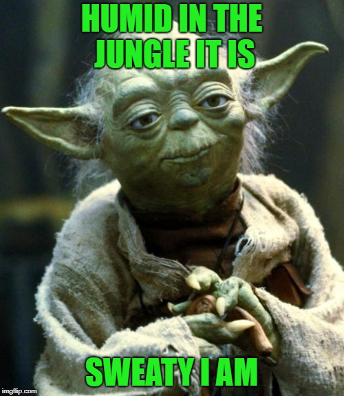 Star Wars Yoda Meme | HUMID IN THE JUNGLE IT IS SWEATY I AM | image tagged in memes,star wars yoda | made w/ Imgflip meme maker