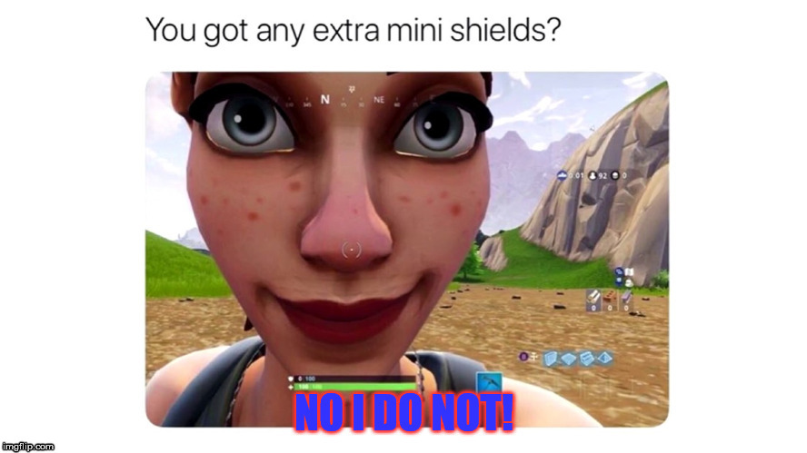 When you have a noob on your team | image tagged in noobs,minishields,fortnite | made w/ Imgflip meme maker